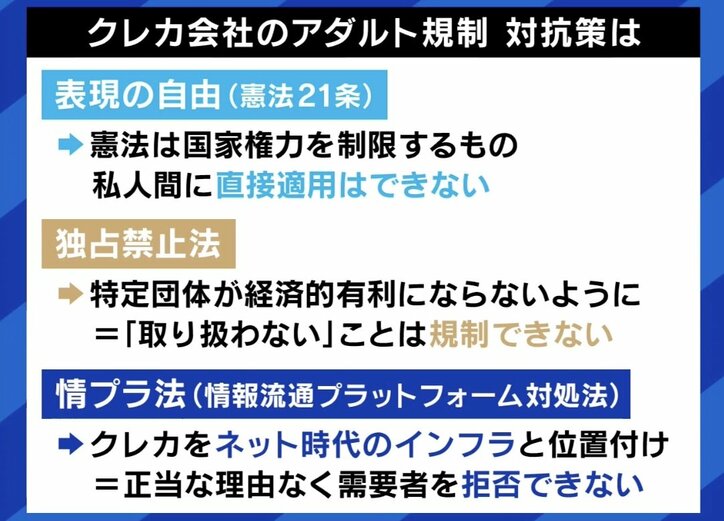 【写真・画像】クレカ会社が“エロ規制”？ 創作現場から悲痛な声  紗倉まな「パッケージと中身との乖離が起きている」 山田参院議員「自ら表現を抑えた結果、息の根を止めることになる」 　7枚目