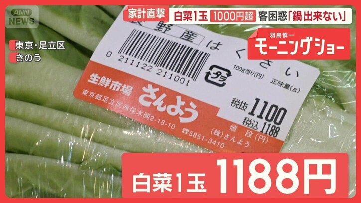 ハクサイ1玉1000円超え 長雨・日照不足で葉物野菜が高騰 「鍋できない」客も困惑
