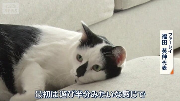 遊び半分で始まったというペットの同伴勤務