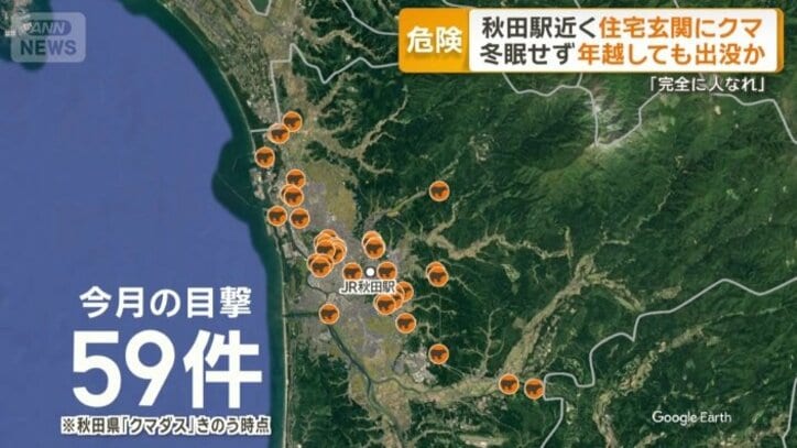 12月の6日間だけで