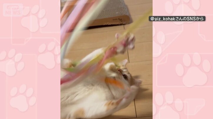 元気に遊ぶ