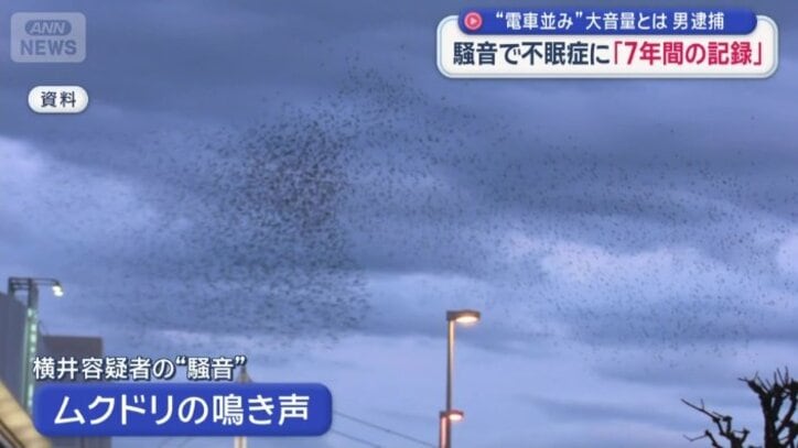 ムクドリの鳴き声