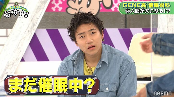 衝撃映像！白濱亜嵐＆数原龍友が犬に、小森隼は猫に！催眠術にかかりスタジオ騒然…