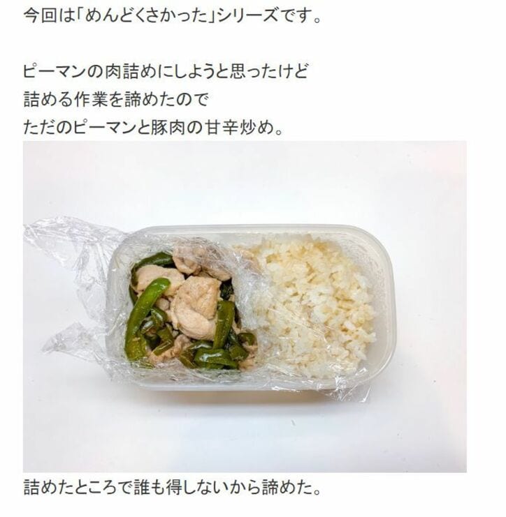 映えないお弁当 が話題に ホラン千秋 貫く 自分だけのお弁当 道 Blog Of The Year 19受賞者インタビュー インタビュー 特集 Abema Times