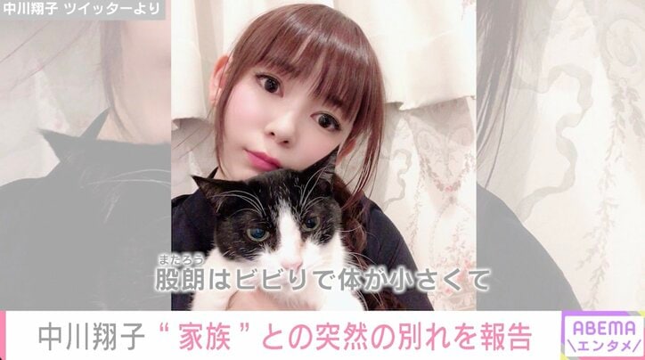 中川翔子、愛猫との突然の別れを報告「最期のお別れに間に合わず」