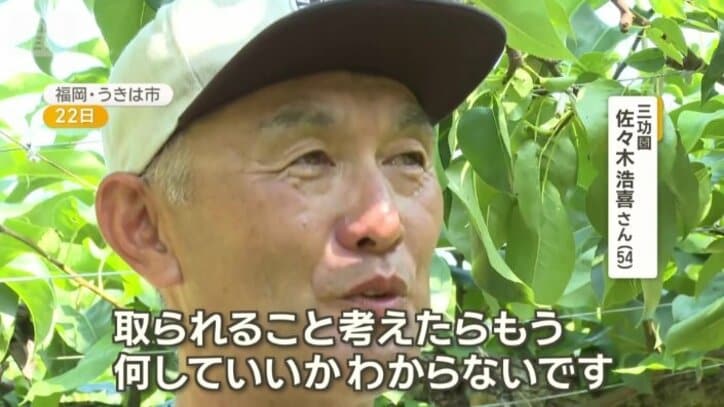 三功園　佐々木浩喜さん
