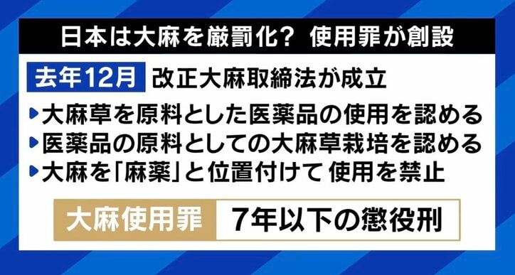 【写真・画像】大麻に手を出し逮捕される若い世代が急増…SNSで隠語による取引も 16歳から大麻常用の当事者に聞く　7枚目