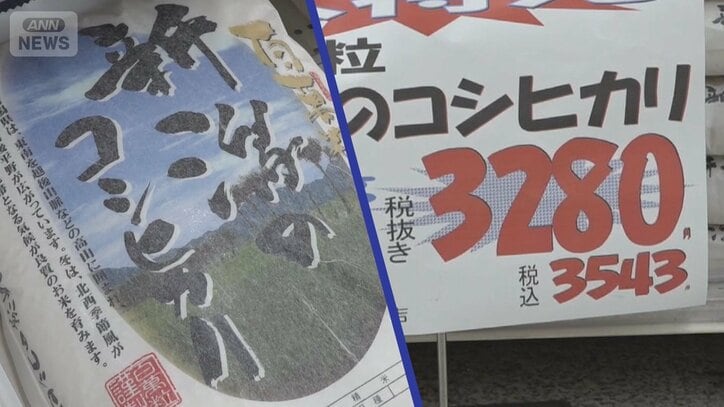 新潟県産コシヒカリが「毎日特売」なぜ? 有名ブランド米に“値下げの波”