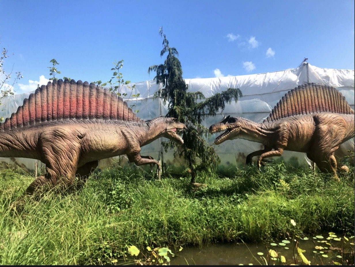 釈由美子 元気になった息子と 恐竜ごっこ 回復力と底なしのエネルギーには脱帽 話題 Abema Times