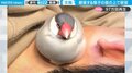 昼寝中の我が子の上で昼寝する文鳥「仲良すぎw」「ホンワカ気分になりました」反響の声