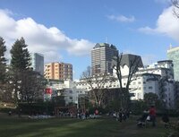 三田佳子『苦しんでます! セリフ覚え。 しかし、面白いシナリオです!!』