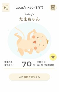 内山琴『妊娠30週に突入!』