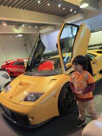 川崎希『ランボルギーニ♡』