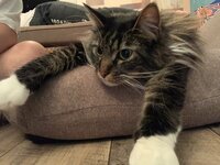 キンタロー。旦那『じゃじゃ丸のポジションを奪う妻。』