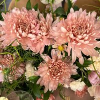 Seiko Darvish『やっぱりね』