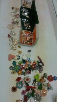 尾木直樹(尾木ママ)『大切なブローチの選定』