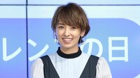 南明奈 仕事復帰報告で見せた“ママの顔”