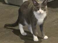 坂上忍『泊りがけで病院？』