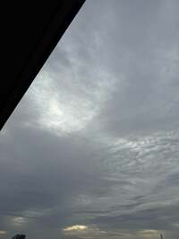 沢田聖子『寒い朝』