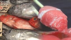 岐阜発スーパー バロー快走　名物は本マグロの超巨大すし　関東初出店【詳細版】