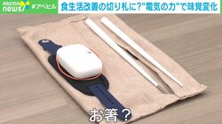 電気の力で塩味を調整…箸型デバイスが食生活改善の切り札に 開発元を取材