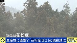 「東京と名古屋は最悪の地形」“花粉症ゼロ”公約はどこへ？ 政策の現在地は