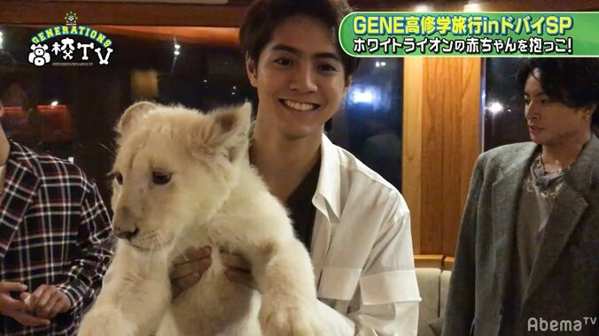 GENERATIONS、かわいすぎるホワイトライオンの赤ちゃんにメロメロ… 4枚目