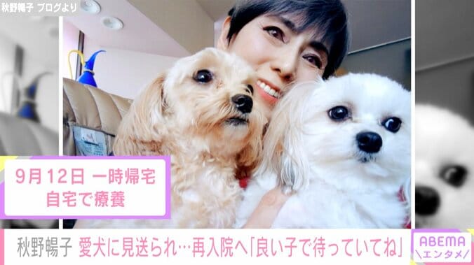 食道がんで闘病中の秋野暢子、愛犬2匹に見送られ再入院「良い子で待っててね」 1枚目