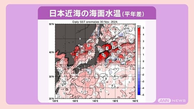 この冬 記録的大雪の可能性も！海水温上昇が招く異常気象 伊豆の海は南国化 11枚目