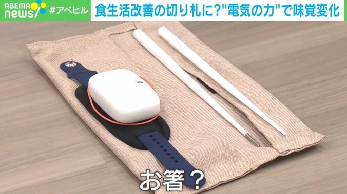 電気の力で塩味を調整…箸型デバイスが食生活改善の切り札に 開発元を取材 1枚目