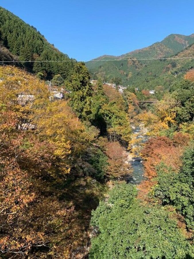 大桃美代子『鬼滅の刃』の聖地を訪れたことを報告「活気がつきそうですね」 1枚目