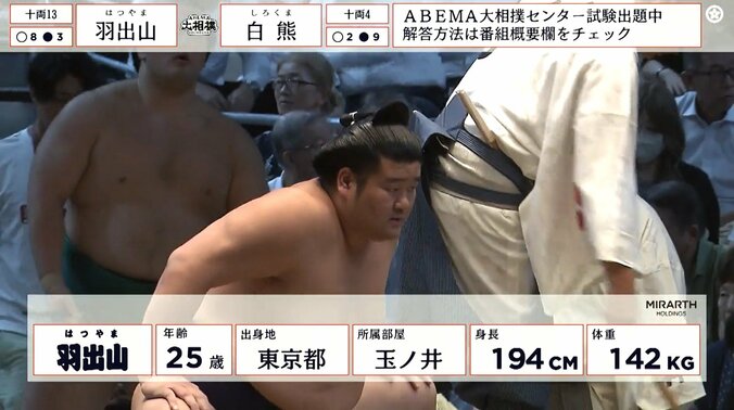 十両十三枚目・羽出山