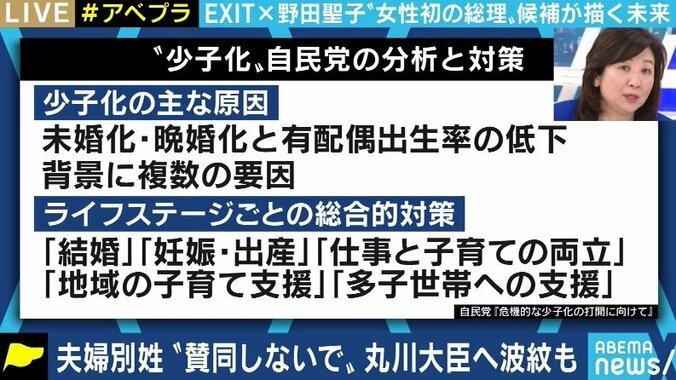 「法律婚でなければ不妊治療の助成も受けられない。そういう“縛り”を無くしていきたい」野田聖子議員が語る少子高齢化・男女共同参画（1） 5枚目