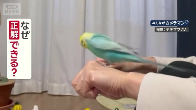 なぜ正解できる？