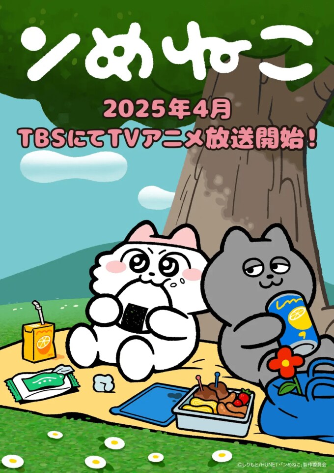 ンめねこ
