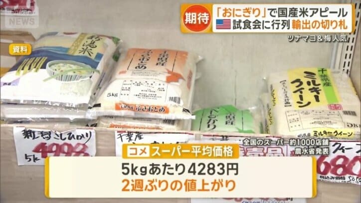 コメの平均価格