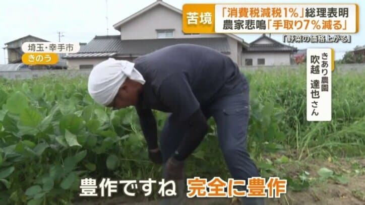 枝豆が豊作