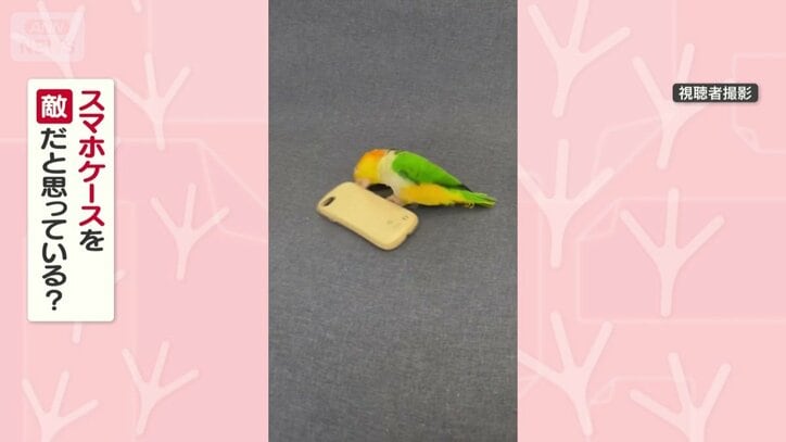 スマホケースを敵だと思ってる？