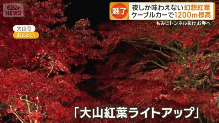 神奈川・伊勢原市の「大山紅葉ライトアップ」