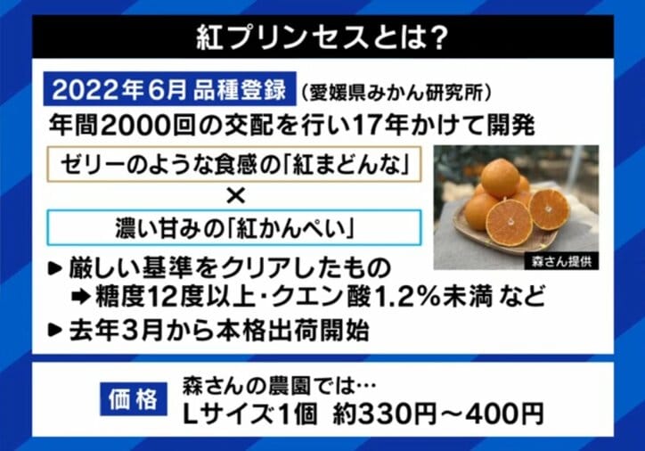 紅プリンセスとは