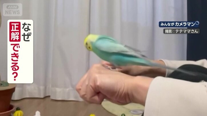 なぜ正解できる？