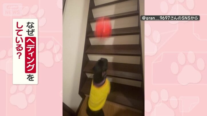 なぜヘディングしてる？