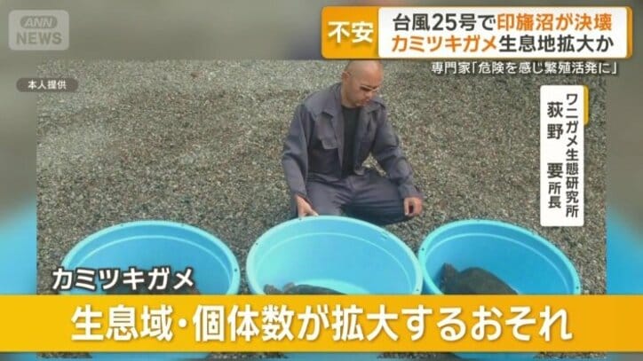 ワニガメ生態研究所　荻野要所長