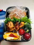 松嶋尚美、おにぎりに飽きた息子の弁当「シンプルがいいらしい」