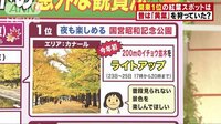 社会ニュース - 紅葉シーズン到来!人気スポットの意外な鑑賞法 | 動画視聴は【Abemaビデオ(AbemaTV)】