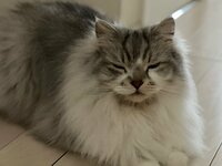 葛山信吾『コーヒーかな、』