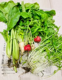 ココリコ遠藤嫁『朝ごはん』