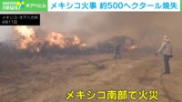 【映像】約500ヘクタールを焼き尽くす山火事の様子
