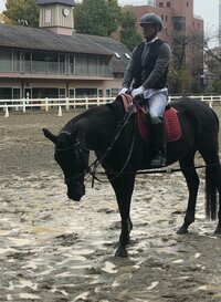 市川海老蔵『終わりましたー』