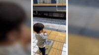 2歳の男の子が電車に“控えめな”バイバイ